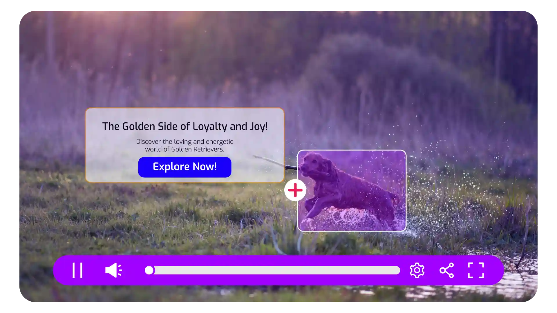A company has placed a clickable overlay onto their video with Cinema8's tools to improve engagement, increase dwell time, and send positive video SEO signals to search engines. 