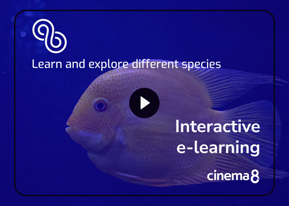 learn-about-fishes